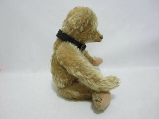 STEIFF Antique Teddy Bear 14 