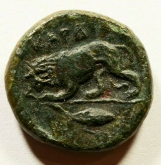 Kardia In Thrace 350bc Ancient Greek Coin Lion Demeter Earth