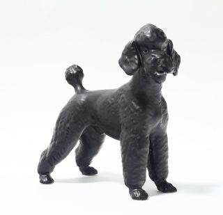 Porcelain Figurine Poodle Black.  Europe,  20th Century.