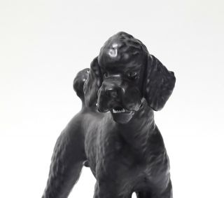 Porcelain figurine Poodle black.  Europe,  20th century. 2