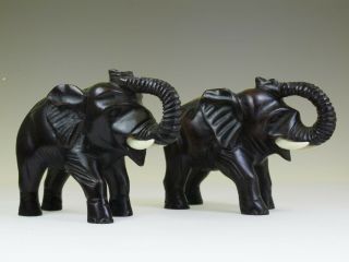 A 2 Chinese Small Dark Wood Elephant Statues Sculptures 6.  5  X 4.  5