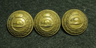 3 Antique Canadian Military Buttons - Canada Militia Beaver - Jennens & Co.  Ltd.