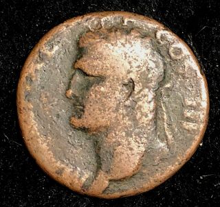 Agrippa 37 - 41ad Ancient Roman Ae As Neptune 26.  5mm 9.  7g Circulated Example