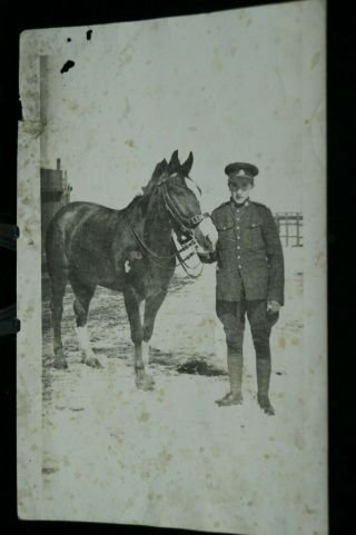 Ww1 Canadian Cef Souvenir Paper Soldier Standing With Horse Photo Postcard