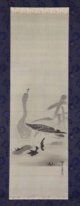 Japanese Hanging Scroll Art Painting " Duck " Kano School Asian Antique E6674