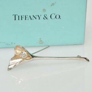 Tiffany & Co.  Sterling Silver Ginko Nature Leaf 1/2ct Diamond Pin Brooch