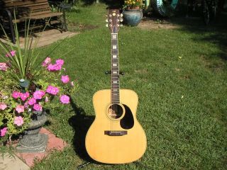 Vintage Conn Acoustic Guitar F - 27