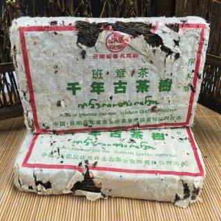 1990s Banzhang Material - Millennium Ancient Tea Trees Pu 