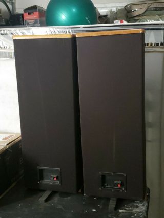 Vintage DCM Time Frame TF 250 Speakers.  consequently serial numbers. 4