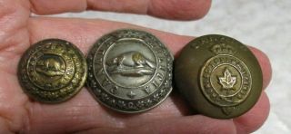 3 Buttons Victorian Canada Militia,  Northwest Mounted Police Beaver/1 Maple Leaf