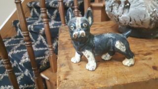 Vintage Antique Solid Cast Iron Dog Boston Terrier Puppy Hubley