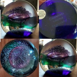 Vintage Caithness Art Glass Paperweight " Thistle " 637/650