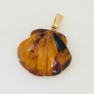 14k Gold Real Ancient Baltic Amber Carved Seashell Shell Pendant Charm