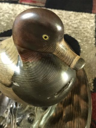 Tom Taber Vintage Duck Decoy Signed 6