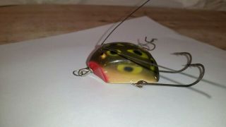 Vintage Creek Chub Weed Bug Frog Color Fishing Lure 1927 2800 Wood CCBCO 4