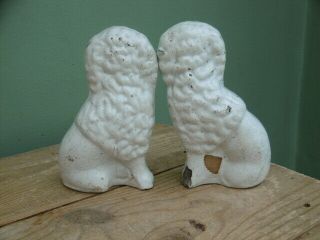 Pr 19thc STAFFORDSHIRE WHITE POODLE DOGS WITH FLOWER BASKET C.  1860 6