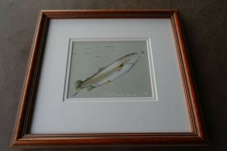 Tommy Brayshaw English Canadian Signed Cutthroat Trout Fly Fishing Art