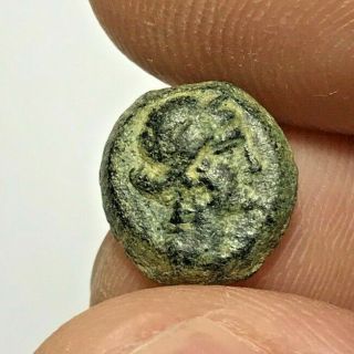 Museum Quality Ancient Greek Ptolemy Bronze Coin Cleopatra Vii 1.  9gr 12.  5mm
