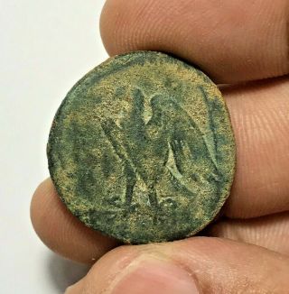 ANCIENT GREEK PTOLEMY BRONZE COIN PHILOMETOR WITH COUNT MARK 15.  8gr 28.  8mm 2