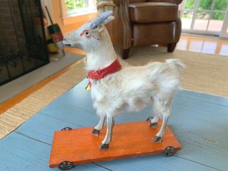 Rare Putz Goat On Wheels Antique Pull Toy Rabbit Fur Stick Leg Germany