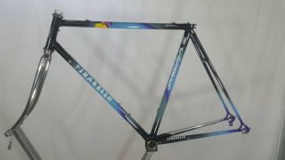 Vintage Pinarello Asolo Frame 54cm