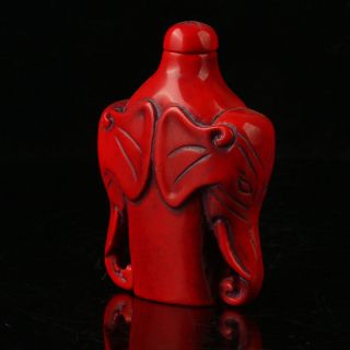 China Exquisite Red Coral Hand Carved Elephant Head Snuff Bottle R2008 3