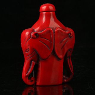 China Exquisite Red Coral Hand Carved Elephant Head Snuff Bottle R2008 4