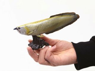 Favorite Silver Arowana Soft Model Figure Ancient Fish Ff - 003 L17.  3 W4.  8 H9.  3cm