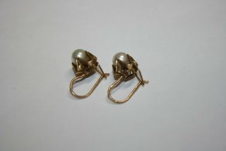vintage earrings with pearl USSR gold 583 3