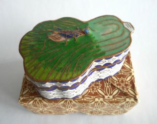 Charming Antique / Vintage Chinese Enamel / Cloisonne Box - Grasshopper