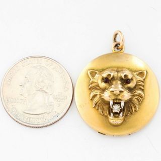 Antique 1830s Georgian 14k Yellow Gold Diamond Garnet Tiger Locket 0.  15ctw 4