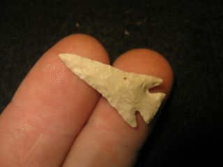 Fine Authentic Texas Scallorn Bird Point Arrowhead,  Ancient Indian Artifact B9