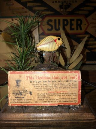Vintage Heddon Punkinseed And Papers Very Rare Color