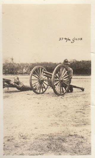 Wwi Photo French 37mm Trench Guns 1918 Aberdeen Proving Ground Apg 78