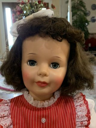 Vintage Ideal 35/36” Brunette Curly Top Patti Playpal Doll 3