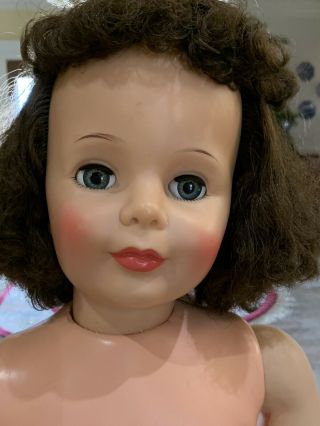 Vintage Ideal 35/36” Brunette Curly Top Patti Playpal Doll 5
