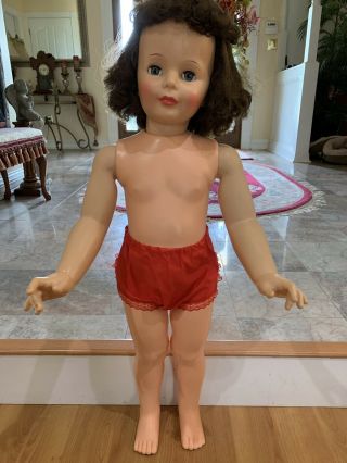 Vintage Ideal 35/36” Brunette Curly Top Patti Playpal Doll 8