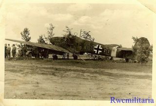 Org.  Photo: Us View Of Surrendered Luftwaffe Fw.  58 Liaison Plane (cb,  Gd)