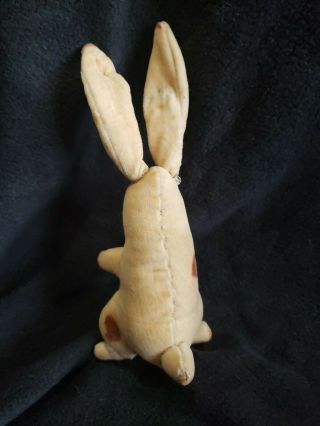 Antique Early 1900 ' s Steiff Velvet Bunny Rabbit with Unusual Blank Button 4