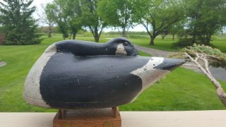 Exceptional 1920s - 30s Vintage Resting,  Sleeping Goose Hollow Wood Hunting Decoy