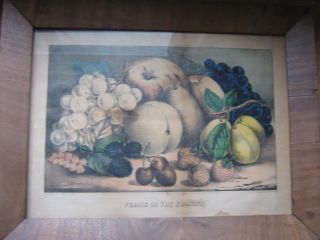 Antique Currier & Ives Colored Lithograph - Fruits Of The Seasons.