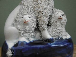 19thc STAFFORDSHIRE POODLE WITH TWO PUPPIES C.  1850 2