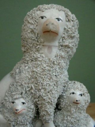 19thc STAFFORDSHIRE POODLE WITH TWO PUPPIES C.  1850 7