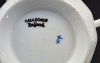 Antique Cauldon Tea Cup & Saucer with Rose Buds 7