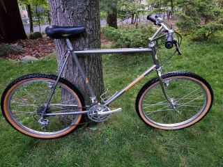 Fisher Montare Mountain Bike Shimano Deerhead Bull Moose Vintage Retro Mtb Gary