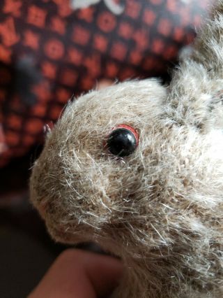 Wonderful Antique Steiff Mohair Wool Rabbit Bunny with Button 3