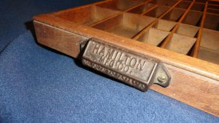 Hamilton Antique Drawer Printer Tray Typeset Shadow Box Curio Vtg Display Shelf