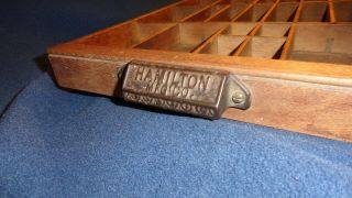 Hamilton Antique Drawer Printer Tray Typeset Shadow Box Curio Vtg Display Shelf 3