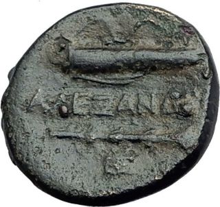 Alexander Iii The Great 336bc Macedonia Ancient Greek Coin Hercules Club I62834