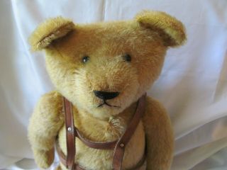 Vintage Teddy Bear,  Gold Mohair,  Twenty - Eight Inches,  Origin Unknown